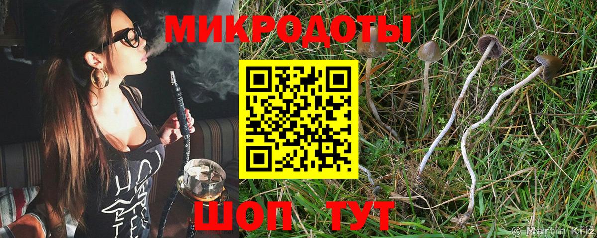 Скопин  Псилоцибиновые грибы GOLDEN TEACHER  Вход с VPN  Псилоцибиновые грибы Psilocybine cubensis 